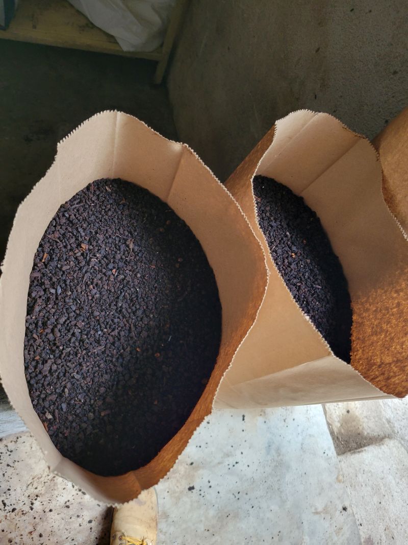 Bioinsumo 2